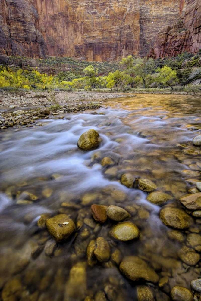 Wall Art Painting id:131431, Name: USA, Utah, Zion NP Stream in autumn scenic, Artist: OBrien, Jay