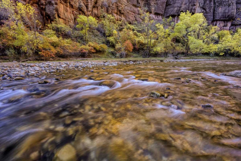 Wall Art Painting id:131432, Name: USA, Utah, Zion NP Stream in autumn scenic, Artist: OBrien, Jay