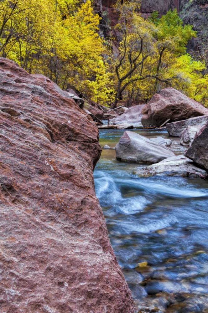 Wall Art Painting id:131498, Name: USA, Utah, Zion NP Stream in autumn landscape, Artist: OBrien, Jay