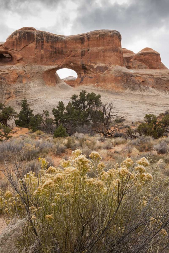 Wall Art Painting id:128974, Name: USA, Utah, Arches NP Scenic of Tunnel Arch, Artist: Illg, Cathy and Gordon