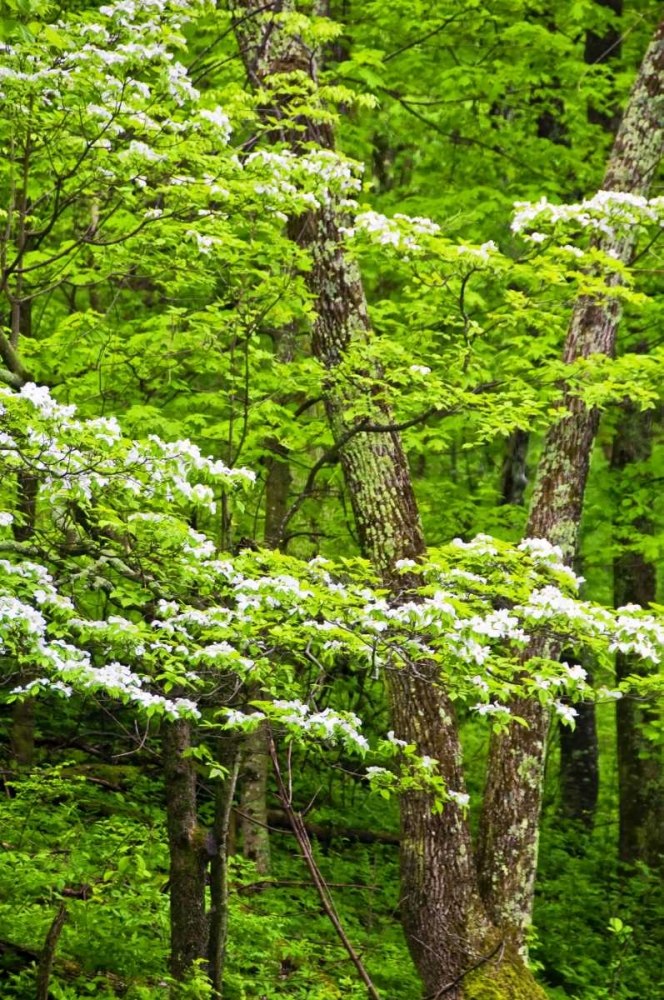 Similar wall art painting: 131364