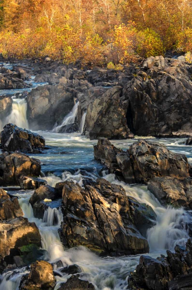 Wall Art Painting id:131514, Name: Virginia, Great Falls Rapids on Potomac River, Artist: OBrien, Jay