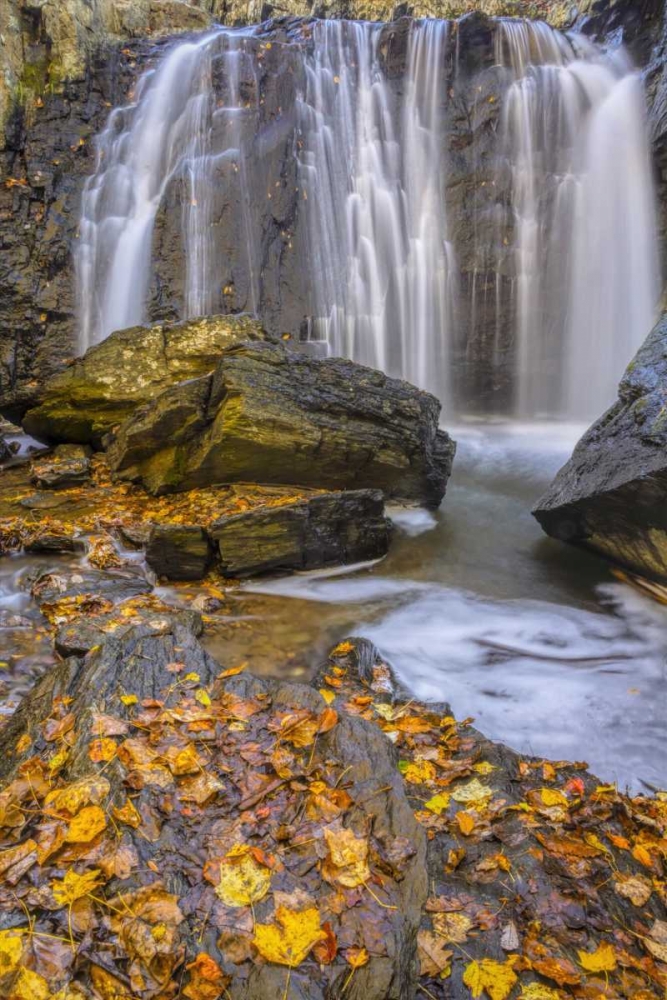 Wall Art Painting id:131473, Name: Virginia, McLean Waterfall in Great Falls SP, Artist: OBrien, Jay