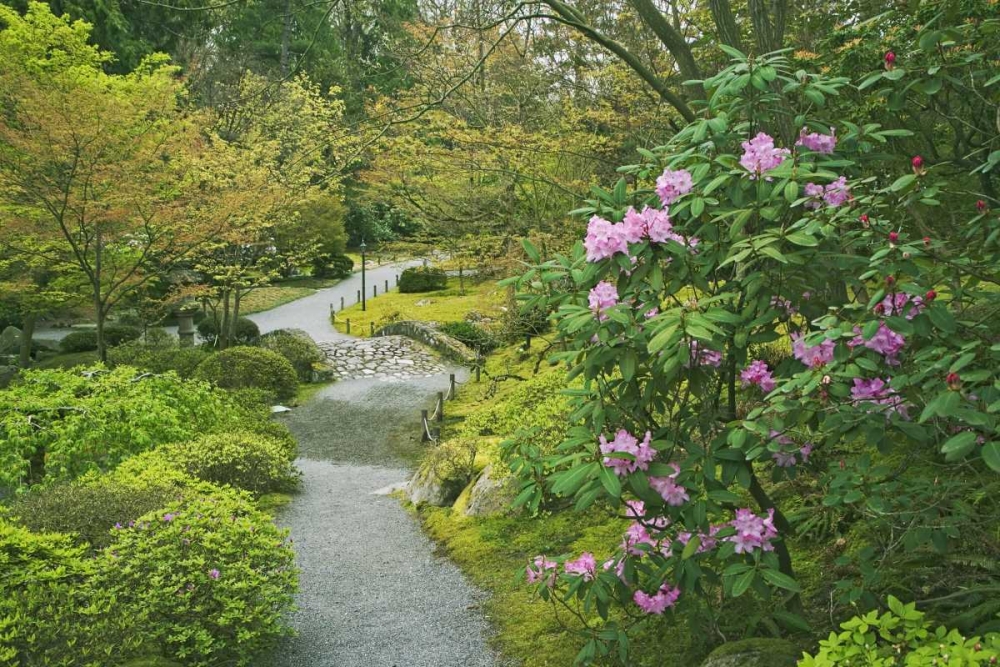 Wall Art Painting id:127808, Name: Washington, Seattle Path through a garden park, Artist: Flaherty, Dennis