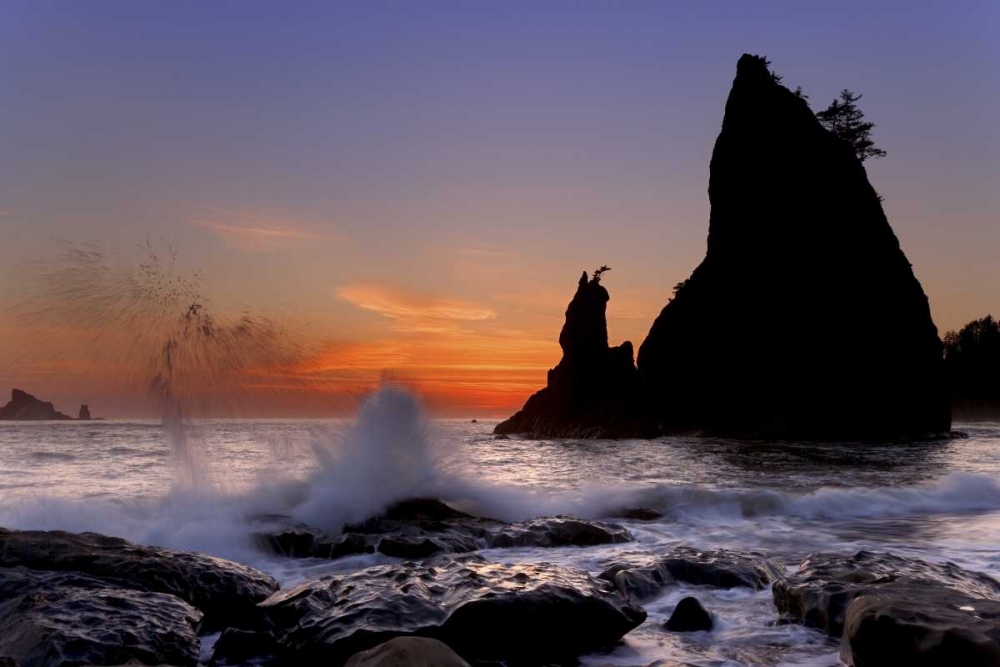 Wall Art Painting id:133458, Name: WA, Olympic NP Sea stack at Rialto Beach, sunset, Artist: Paulson, Don