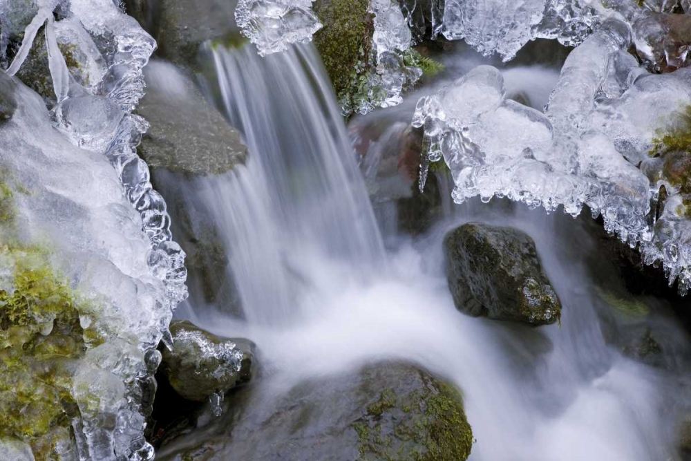 Wall Art Painting id:132327, Name: Washington, Olympic NP Icy winter waterfall, Artist: Paulson, Don