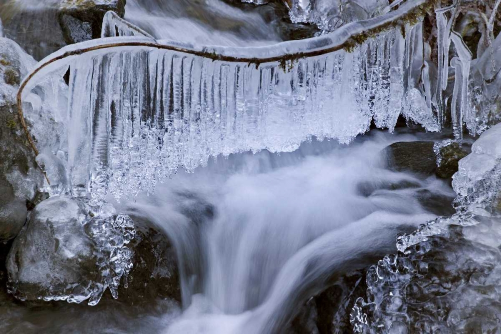 Wall Art Painting id:132329, Name: Washington, Olympic NP Icy winter waterfall, Artist: Paulson, Don