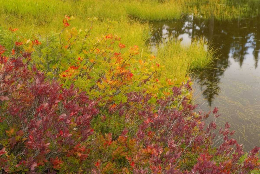 Wall Art Painting id:132969, Name: WA, Mt Baker Wilderness, Autumn at Picture Lake, Artist: Paulson, Don