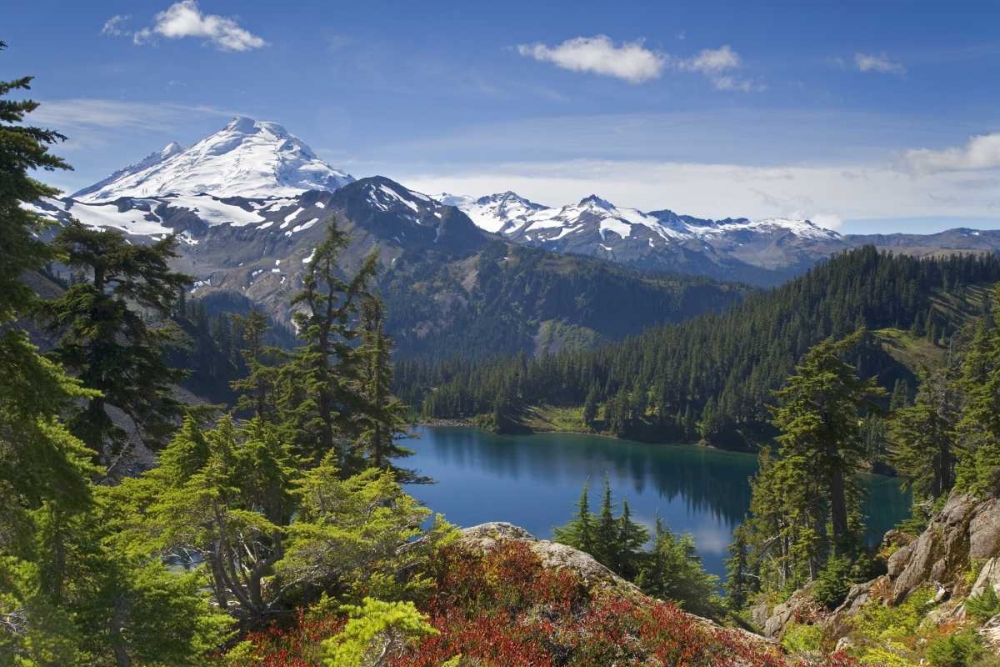 Wall Art Painting id:131810, Name: WA, Mt Baker Wilderness, Iceberg Lake, Artist: Paulson, Don