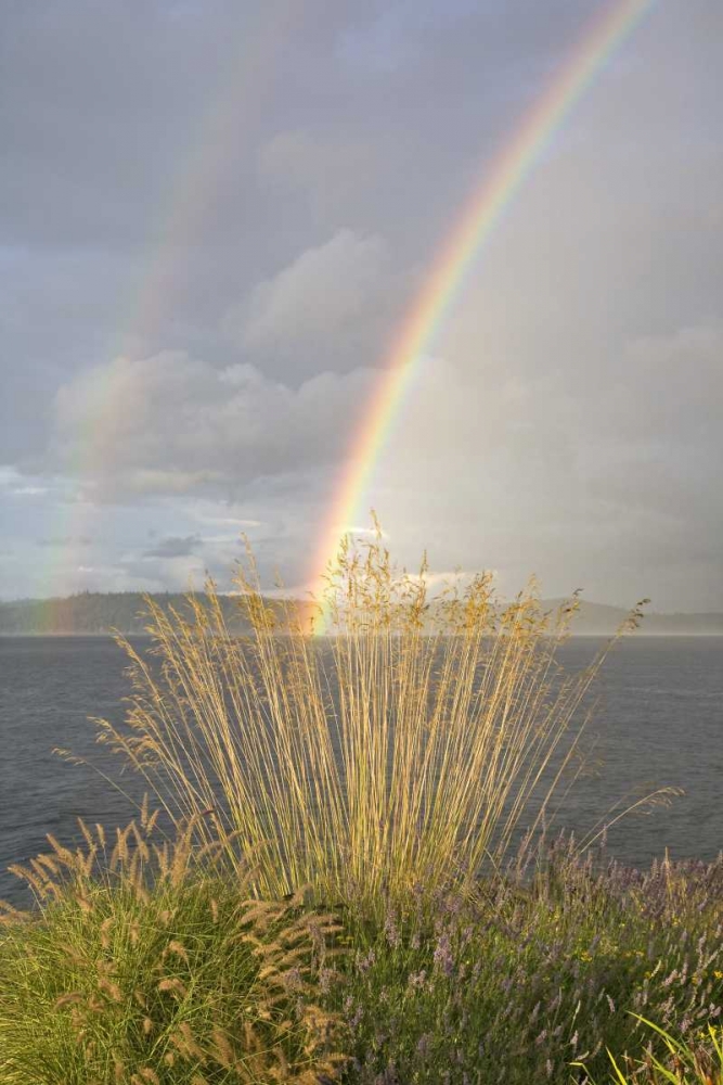 Wall Art Painting id:132900, Name: WA, Seabeck Double rainbow over the Hood Canal, Artist: Paulson, Don