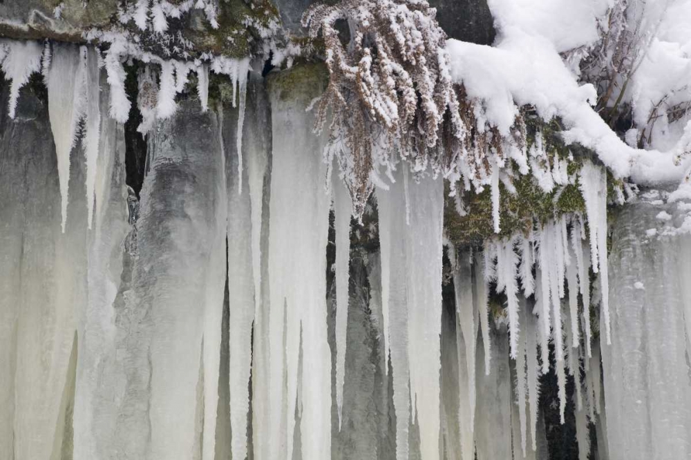 Wall Art Painting id:131996, Name: Washington, Leavenworth Icicles and snow, Artist: Paulson, Don