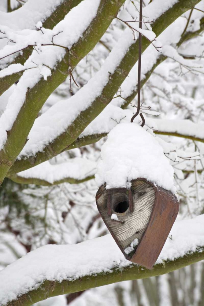 Wall Art Painting id:132370, Name: WA, Seabeck Heart-shaped bird house in snow, Artist: Paulson, Don