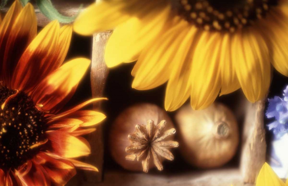 Wall Art Painting id:134145, Name: USA, Washington, Bellingham, Artist: Satushek, Steve