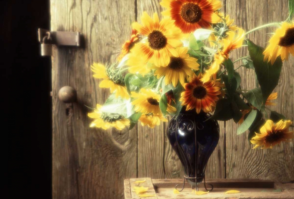 Wall Art Painting id:134146, Name: USA, Washington, Bellingham, Artist: Satushek, Steve