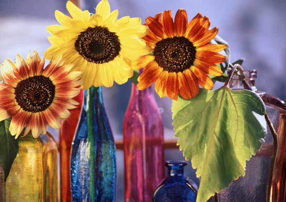 Similar wall art painting: 134147