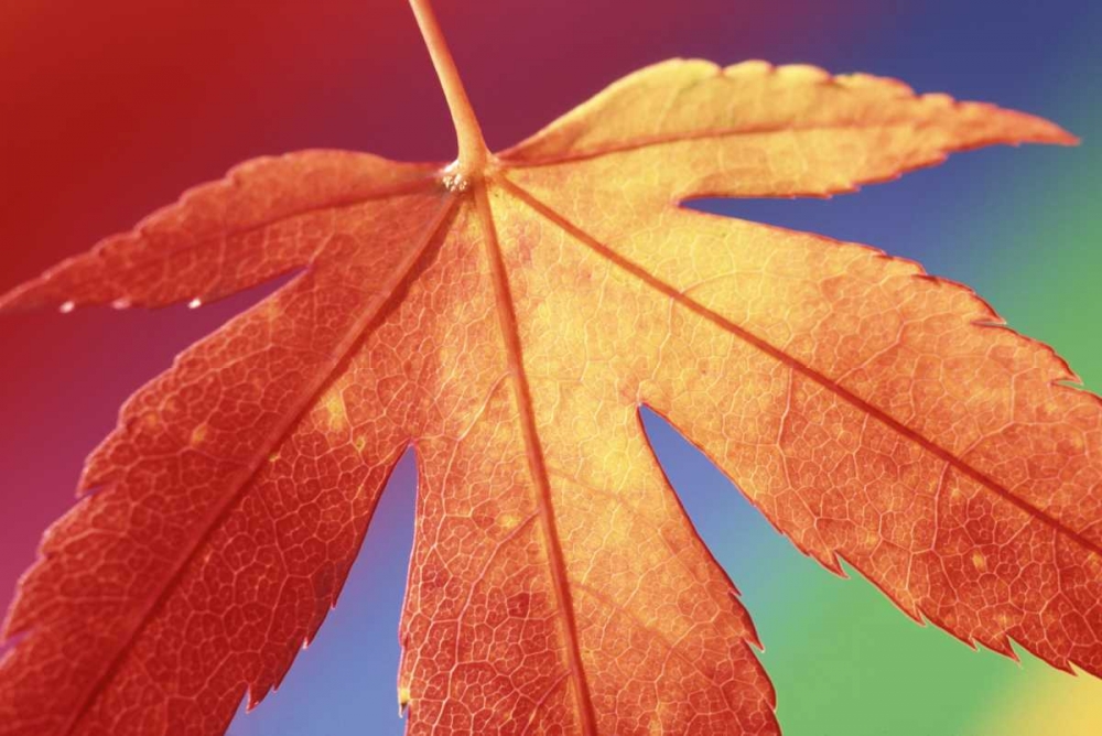 Similar wall art painting: 134151