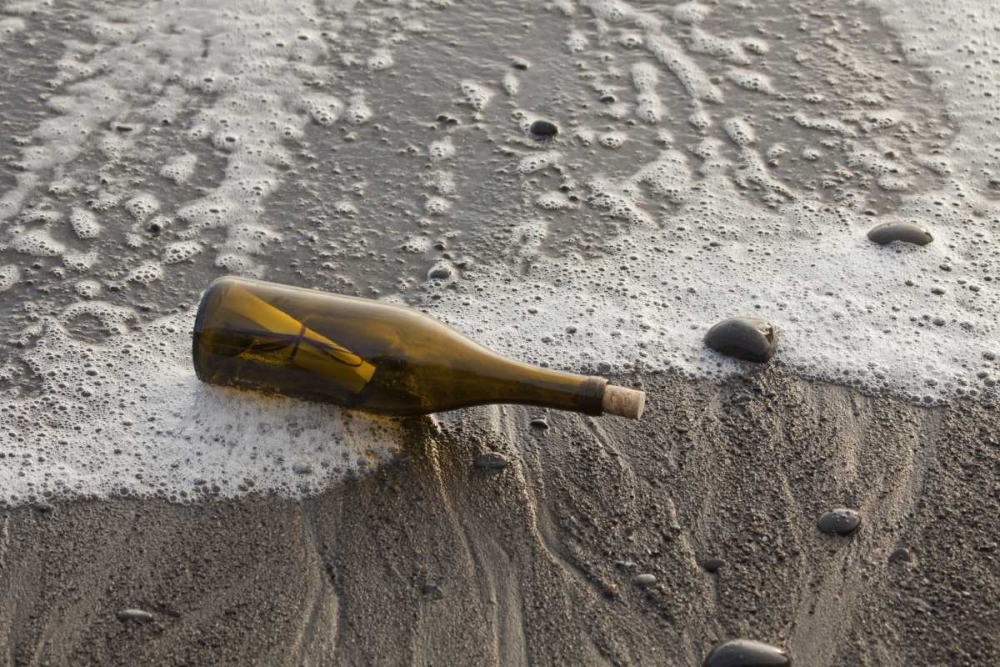 Wall Art Painting id:132378, Name: WA, Olympic NP Message in a bottle on shore, Artist: Paulson, Don