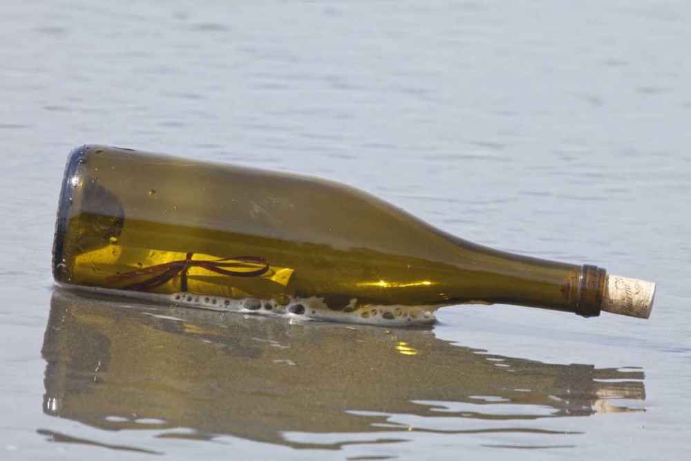 Wall Art Painting id:132379, Name: WA, Olympic NP Message in a bottle on shore, Artist: Paulson, Don