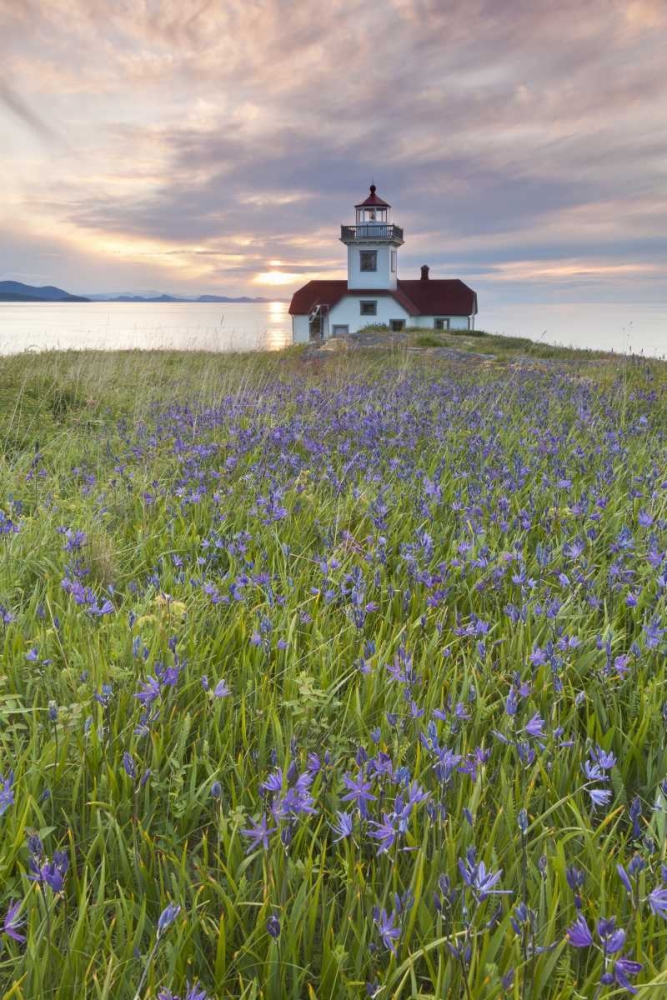 Wall Art Painting id:132475, Name: Washington Sunset on Patos Island Lighthouse, Artist: Paulson, Don