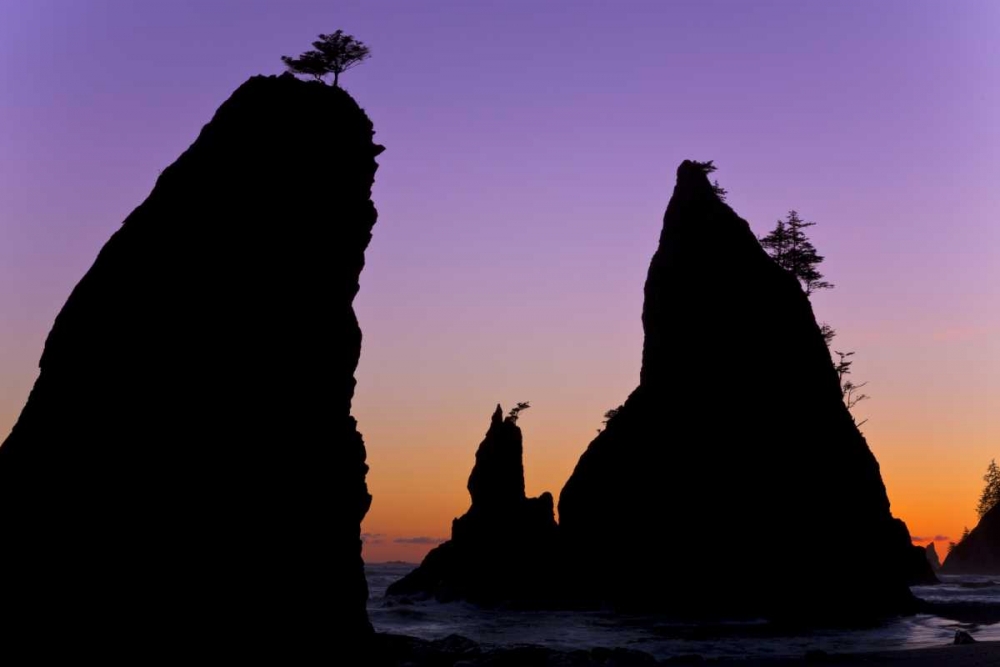 Wall Art Painting id:133371, Name: WA, Olympic NP Sunset on Rialto Beach sea stacks, Artist: Paulson, Don