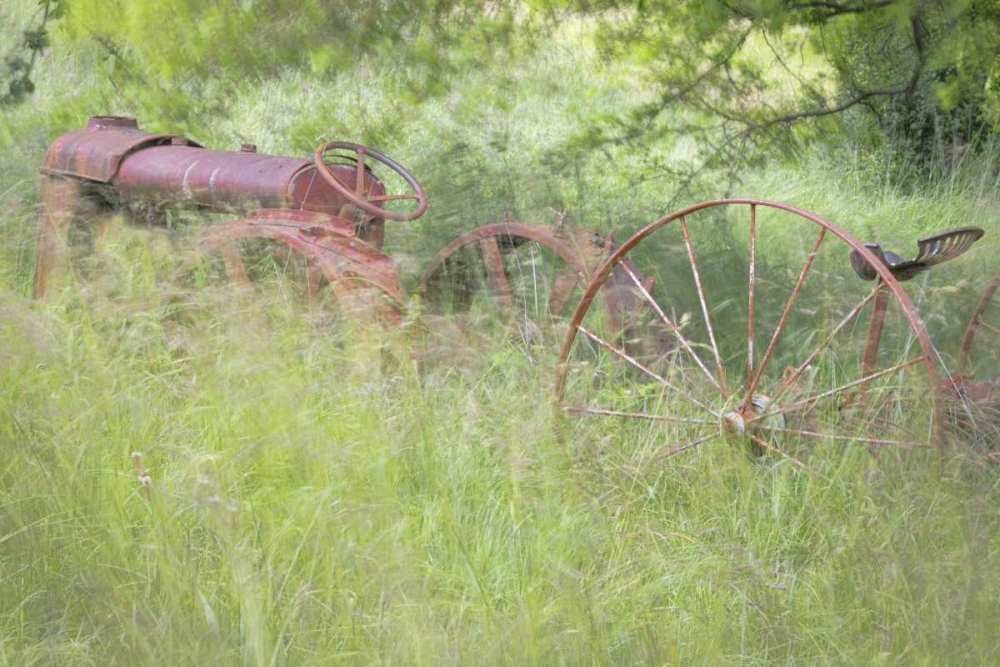 Wall Art Painting id:132040, Name: WA, Seabeck Rusty old tractor in grasses, Artist: Paulson, Don