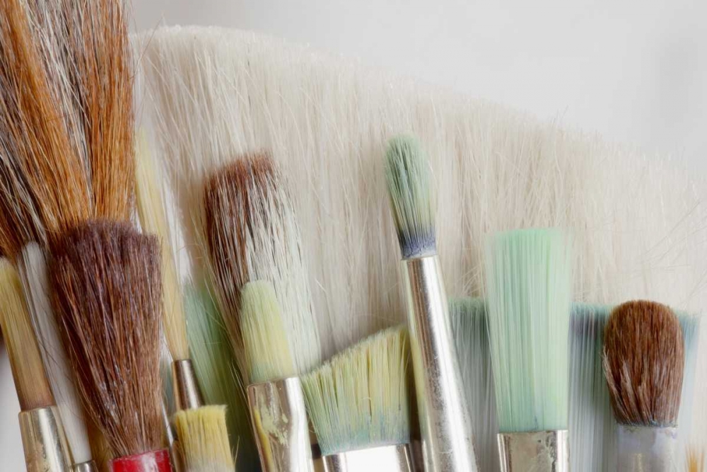 Wall Art Painting id:133279, Name: Washington, Seabeck Close-up of artists brushes, Artist: Paulson, Don