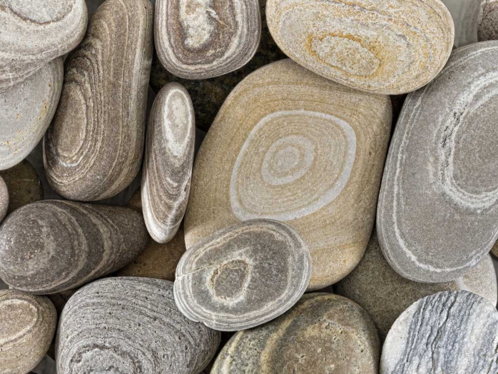 Wall Art Painting id:132453, Name: Washington, Seabeck Close-up of beach stones, Artist: Paulson, Don