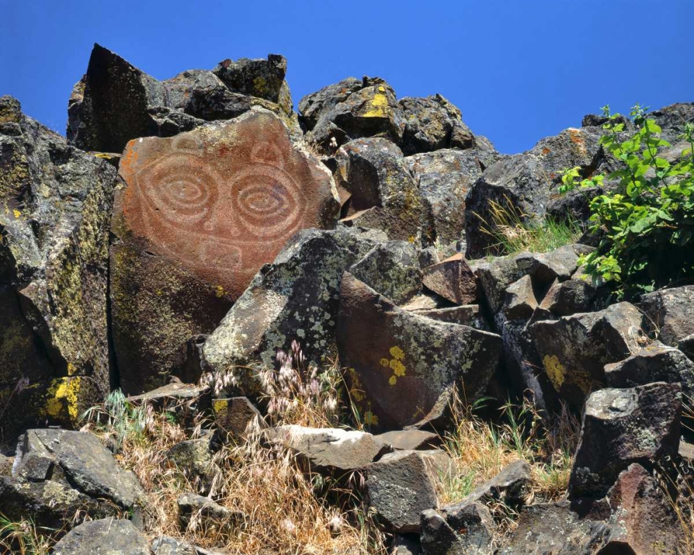 Wall Art Painting id:135463, Name: WA, Columbia GorgeTsagaglalal petroglyph, Artist: Terrill, Steve