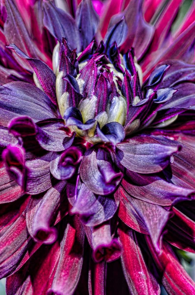 Similar wall art painting: 134224