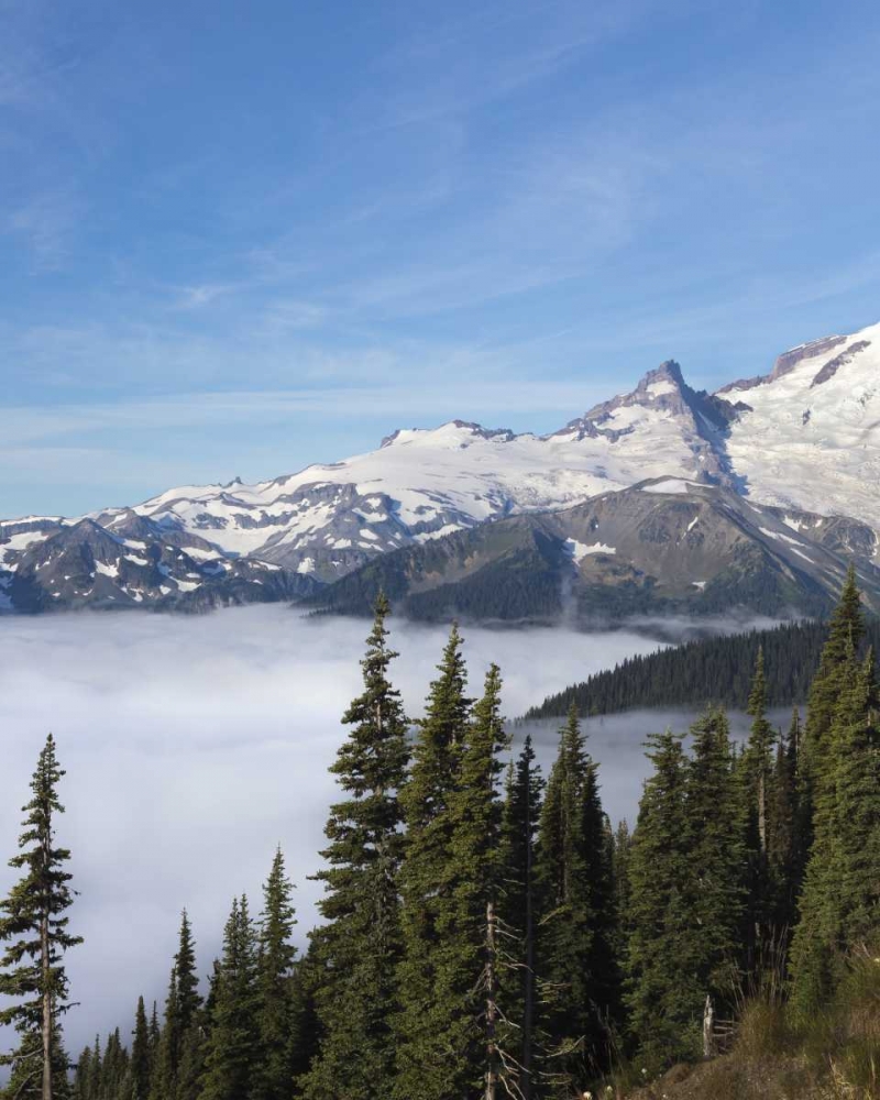 Wall Art Painting id:132179, Name: Washington, Mount Rainier NP Sunrise Point, Artist: Paulson, Don