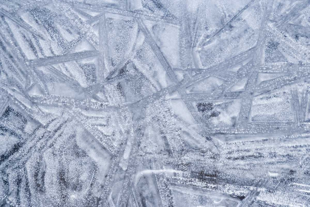 Wall Art Painting id:132838, Name: USA, Washington State, Seabeck Patterns on ice, Artist: Paulson, Don