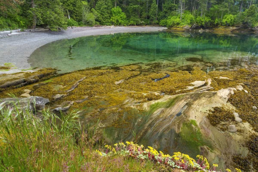 Wall Art Painting id:131935, Name: Washington Secluded bay on Sucia Island, Artist: Paulson, Don