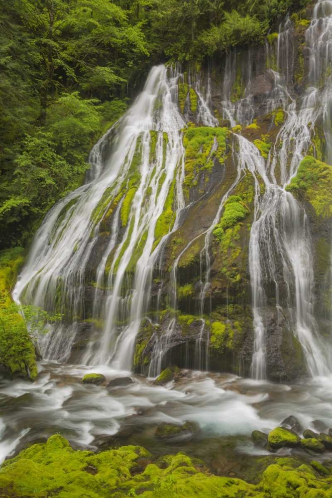 Wall Art Painting id:132094, Name: Washington Spring Panther Creek Waterfall, Artist: Paulson, Don