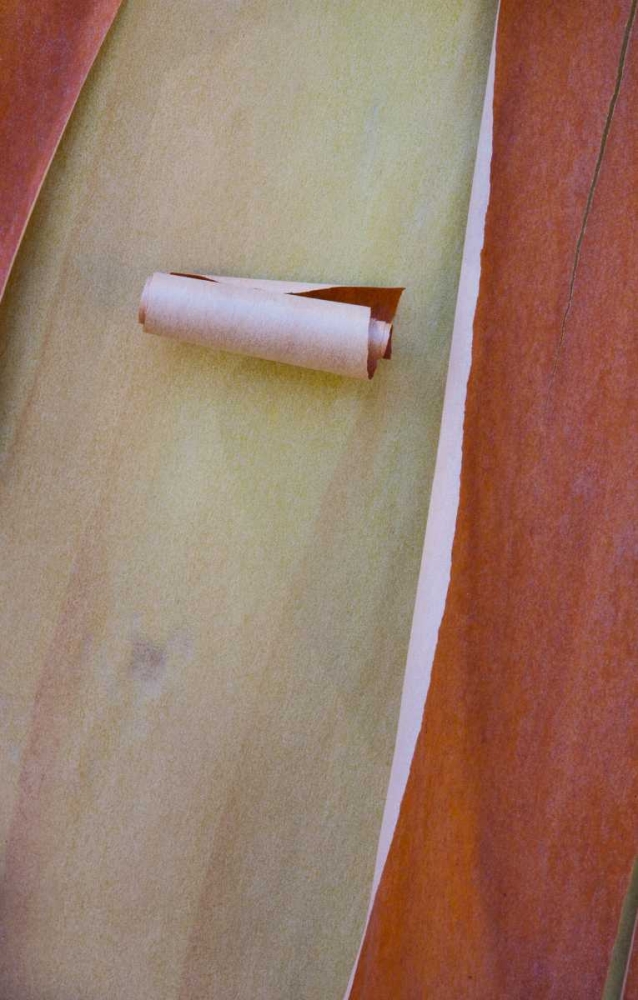 Similar wall art painting: 127283