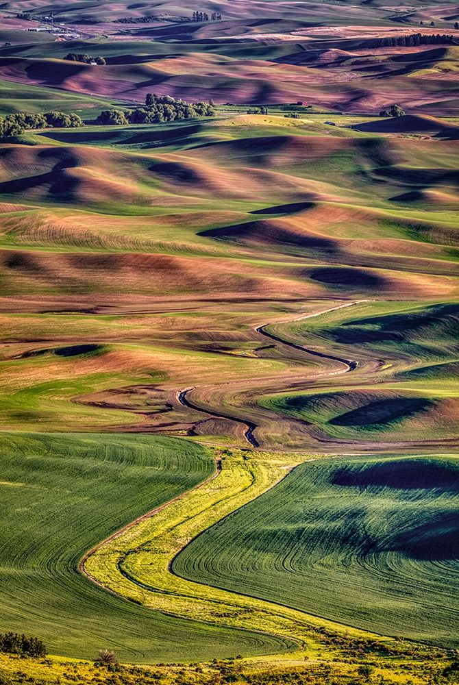 Wall Art Painting id:406297, Name: Washington State-Palouse Steptoe Butte at sunset , Artist: Jaynes Gallery