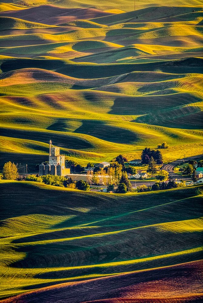 Wall Art Painting id:406299, Name: Washington State-Palouse Steptoe Village and farmland at sunset , Artist: Jaynes Gallery