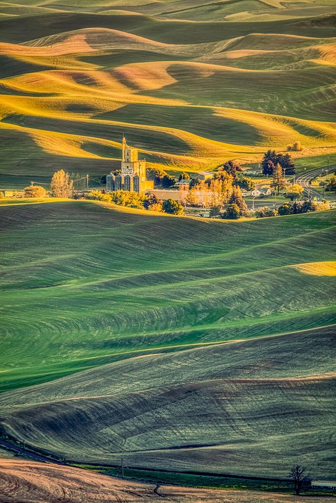 Wall Art Painting id:406301, Name: Washington State-Palouse Steptoe Village and farmland at sunset , Artist: Jaynes Gallery