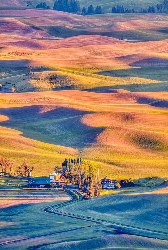 Wall Art Painting id:406302, Name: Washington State-Palouse Steptoe Village and farmland at sunset , Artist: Jaynes Gallery