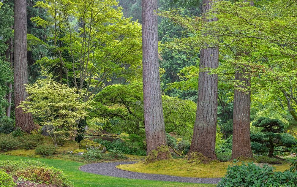 Wall Art Painting id:406304, Name: Washington State-Bainbridge Island Garden path composite panoramic, Artist: Jaynes Gallery