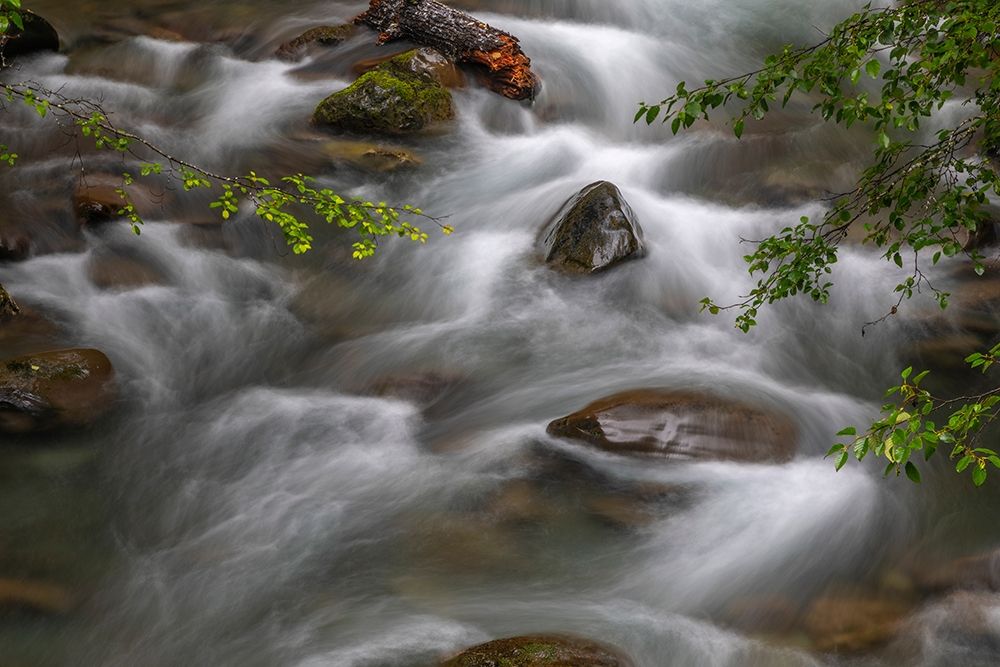 Wall Art Painting id:406326, Name: Washington State-Olympic National Park Dungeness River rapids , Artist: Jaynes Gallery