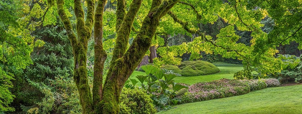 Wall Art Painting id:406353, Name: Washington State-Bainbridge Island Panoramic of garden , Artist: Jaynes Gallery