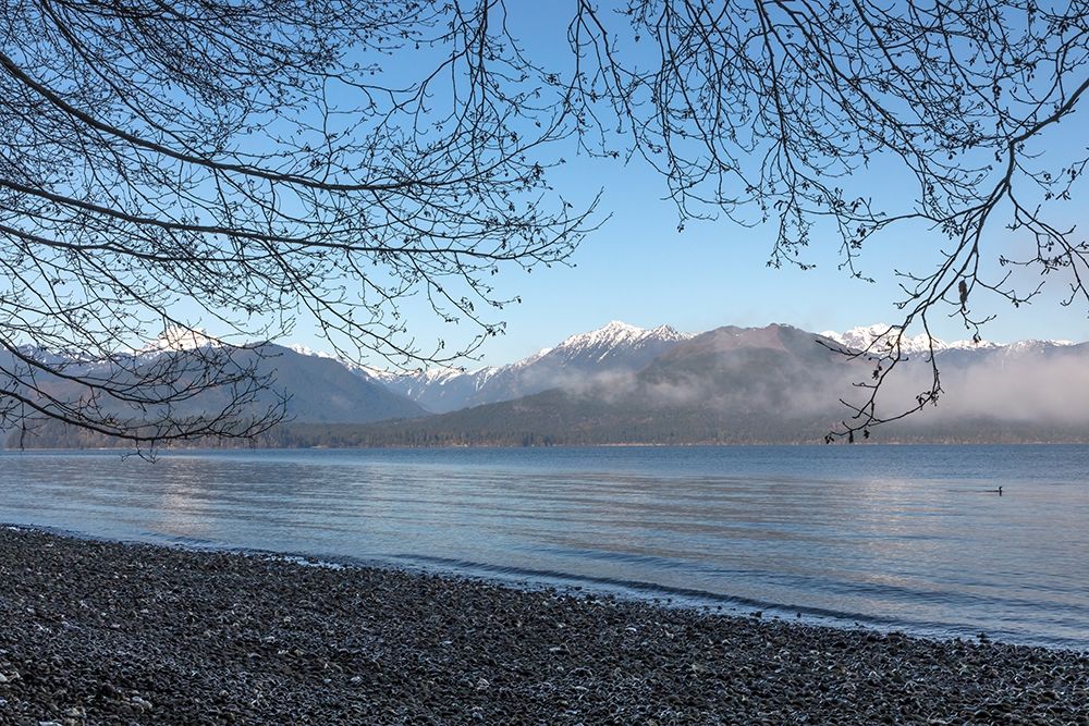 Wall Art Painting id:406392, Name: Washington State-Seabeck Winter morning on Hood Canal beach, Artist: Jaynes Gallery