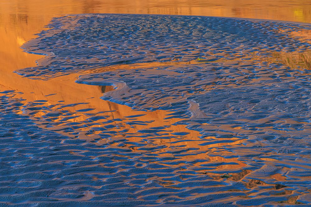 Wall Art Painting id:604949, Name: USA-Washington-Copalis Beach-Iron Springs. Patterns in beach sand at sunset., Artist: Jaynes Gallery