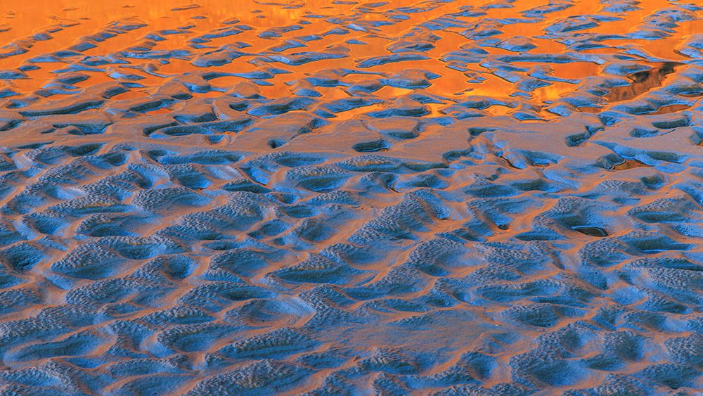 Wall Art Painting id:742423, Name: USA, Washington State, Copalis Beach. Reflection on beach sand at sunset., Artist: Jaynes Gallery