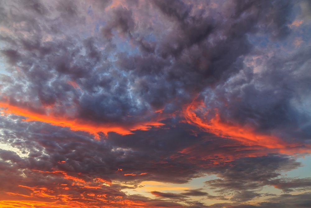 Wall Art Painting id:742454, Name: USA, Washington State. Vivid sunset clouds., Artist: Jaynes Gallery