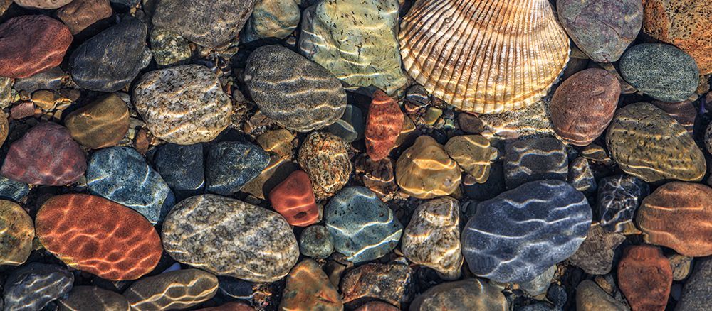 Wall Art Painting id:742489, Name: USA, Washington State, Seabeck. Panoramic  of beach rocks and cockle shell on Hood Canal shore., Artist: Jaynes Gallery