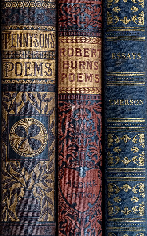 Wall Art Painting id:742524, Name: USA, Washington State, Seabeck. Spines of classic books., Artist: Jaynes Gallery