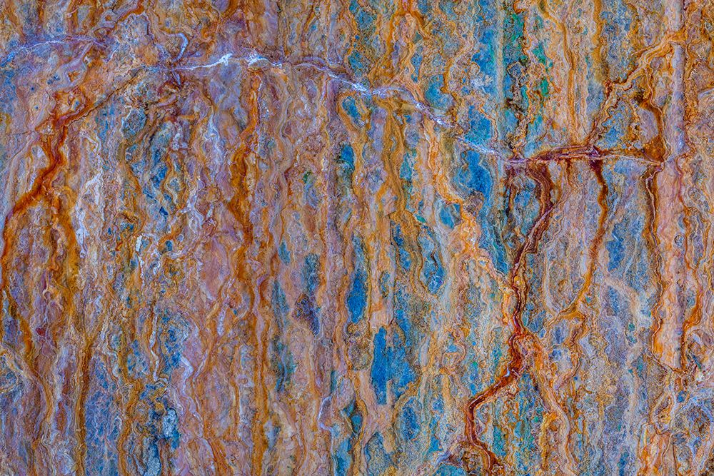 Wall Art Painting id:742529, Name: USA, Washington State, Fort Flagler Historical State Park. Paint and rust patterns on WW I bunker., Artist: Jaynes Gallery