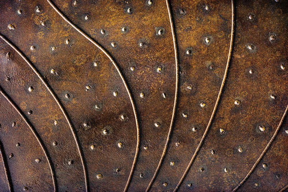 Wall Art Painting id:742571, Name: USA, Washington State, Ashford. Detail of metal at Sculpture Park. (PR), Artist: Jaynes Gallery