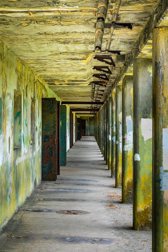 Wall Art Painting id:742591, Name: USA, Washington State, Port Townsend, Fort Worden State Park. Corridor of old gun battery., Artist: Jaynes Gallery